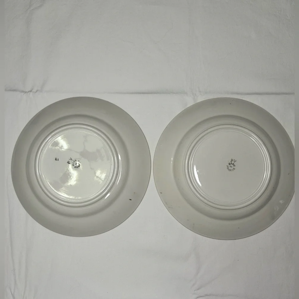 Decorative Floral Transferware Dinner Plates - Set of 2 (Red & Green)